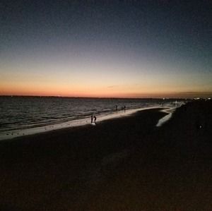 Meet your Posher, Tracey